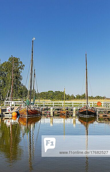 Sailing boats on the Bodden in Fischland Darß  Zingst  Mecklenburg-Western Pomerania  Germany  Europe