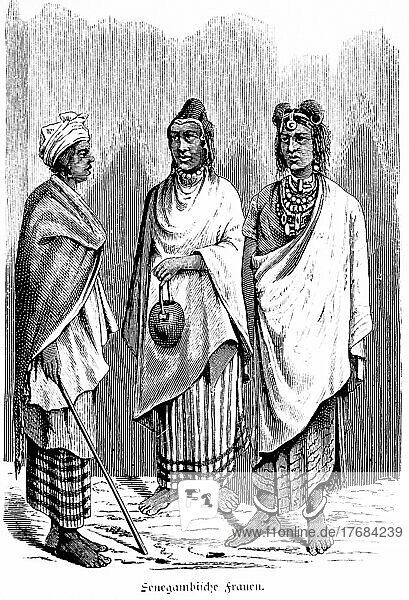Drei senegambische Fraün  traditionelle Kleidung  barfuß  stehen  Unterhaltung  Halsketten  Eingeborene  Porträt  historische Illustration 1881  Senegal  Gambia  Afrika