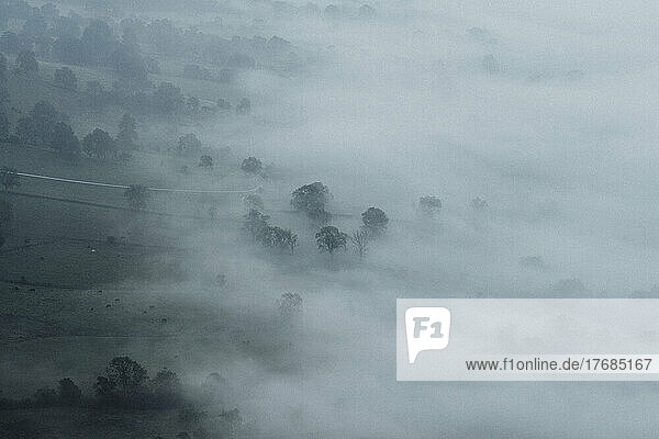 Scenic aerial view fog over valley landscape with trees  Castleton  Derbyshire  England