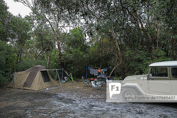 Geländewagen vor dem Zelt auf dem Campingplatz unter Bäumen geparkt  Wilsons Prom  Victoria  Australien