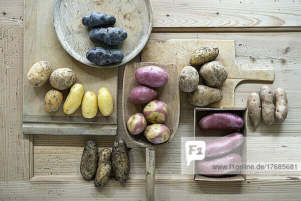 Different varieties of raw potatoes on rustic wooden background