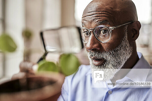 Shocked scientist examining plant with magnifying glass at home