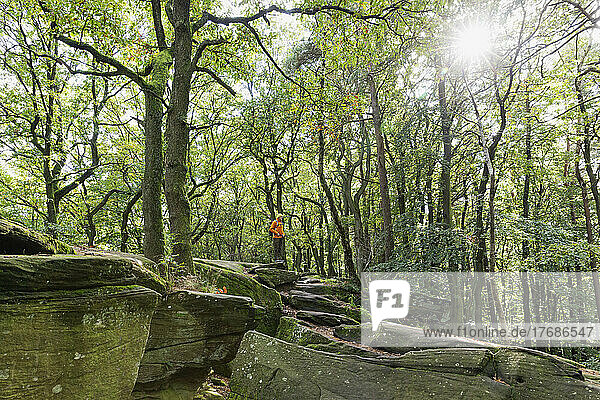 Wanderer steht auf einem Felsen neben Bäumen im Pfälzer Wald  Deutschland