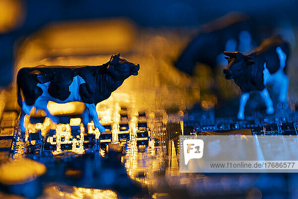 Mother board and cow figurines symbolizing agricultural digitization