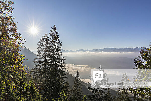 Germany  Bavaria  Summer sun shining over thick fog floating over Lake Walchen in Bavarian Prealps