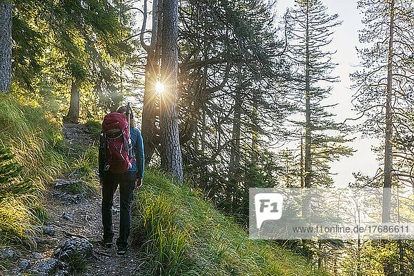Germany  Bavaria  Female hiker standing in middle of forest trail on way to Herzogstand
