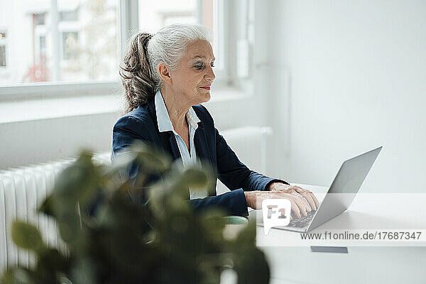Senior businesswoman typing on laptop sitting at desk in office