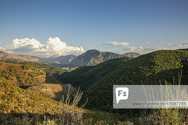 Idyllischer Blick auf grüne Bäume auf dem Berg Mali I Gjere  Albanien