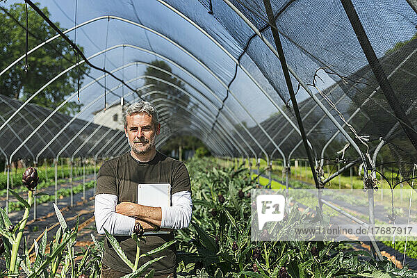 Smiling farmer with tablet PC standing in artichoke greenhouse