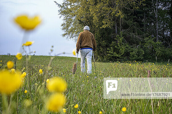Senior man walking with hiking poles in meadow
