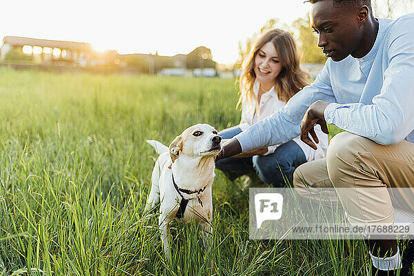 Happy young couple with dog in nature