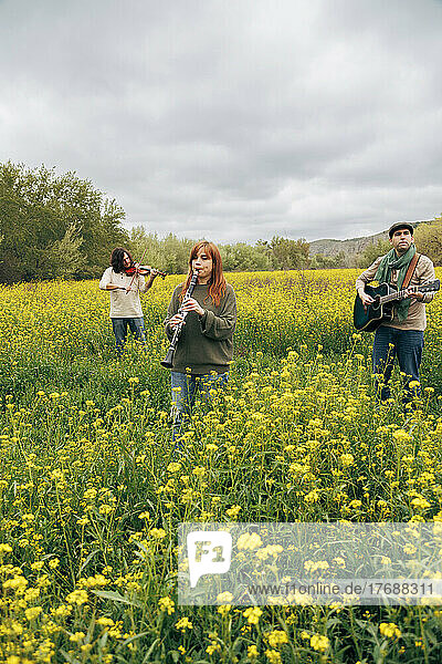 Musicians doing rehearsal with musical instruments in flower field