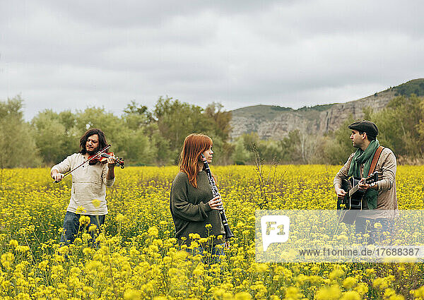 Folk music group rehearsing with musical instruments in flower field