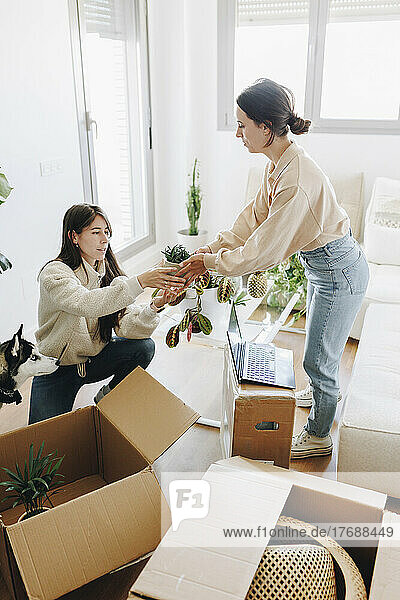 Woman giving potted plant to girlfriend unpacking in living room at home