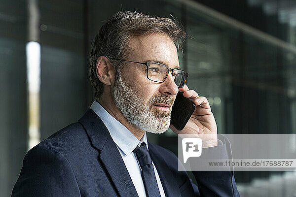 Mature businessman talking on smart phone