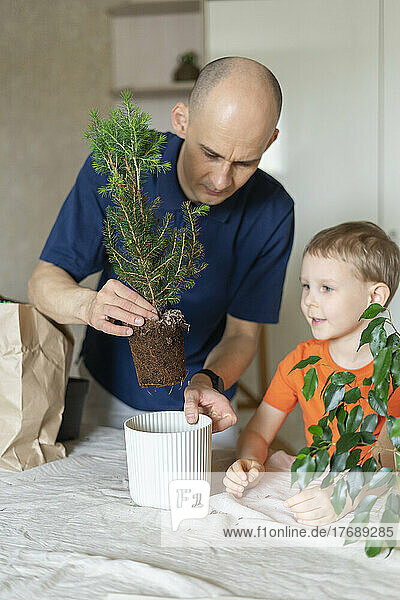 Man showing transplanting to son at home