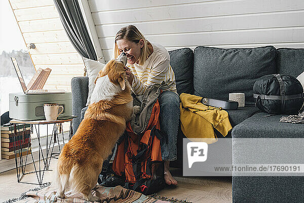 Smiling woman stroking dog sitting on sofa at home