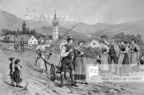 Hochzeitsbräuche in Österreich um 1870  Steiermark  Gemeinsames Pflügen des Feldes durch das Brautpaar  digital restaurierte Reproduktion einer Vorlage aus dem 19. Jahrhundert  genaues Datum nicht bekannt