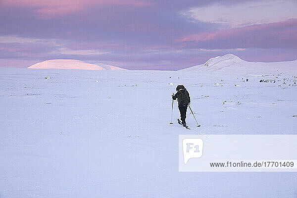 Woman cross-country skiing at sunset in Rogen Nature Reserve,  Sweden