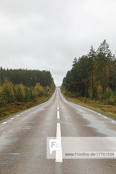 Rural road by autumn forest