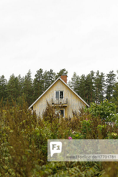 Weathered house in the forest