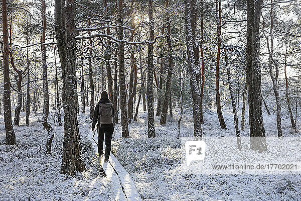 Young woman hiking in snowy forest
