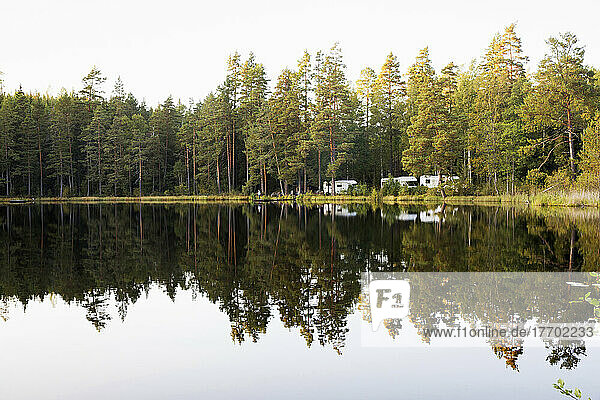 Trees by lake in Tiveden National Park  Sweden