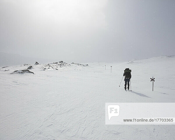 Young woman with hiking poles in snowy field