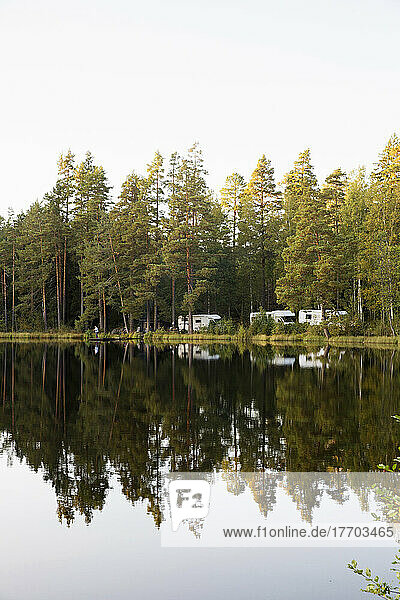 Trees by lake in Tiveden National Park  Sweden
