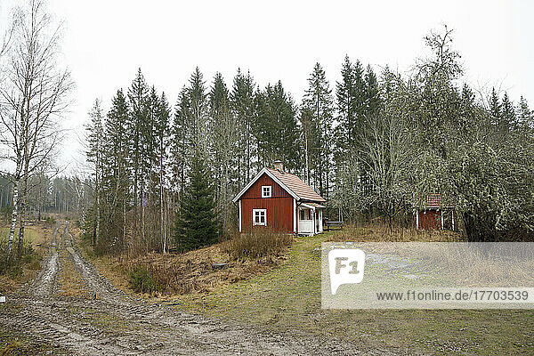 Red house in forest by rural road