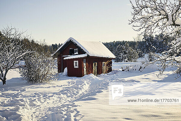 Red house in snow by bare trees