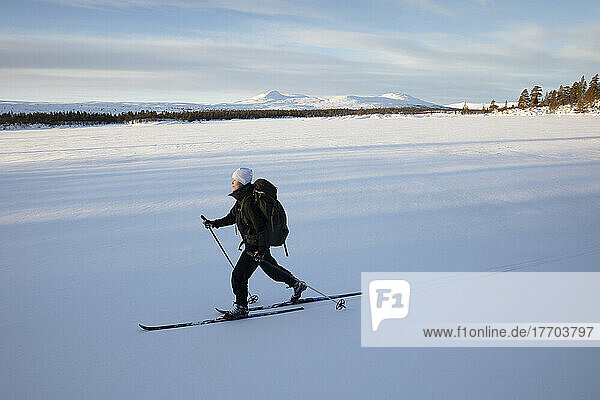 Woman cross-country skiing on Lake Grovelsjon in Rogen Nature Reserve  Sweden