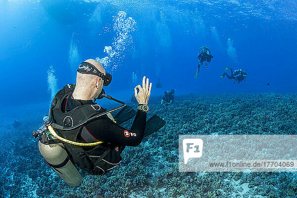 A dive instructor-guide checks back with his divers over a reef at Molokini Islet off Maui  Hawaii; Molokini  Hawaii  United States of America
