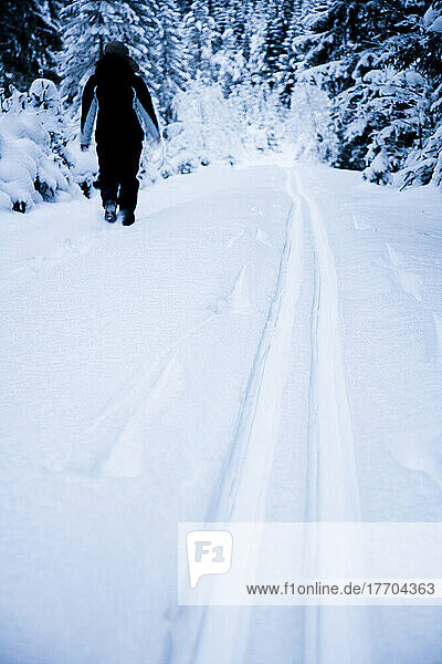 Woman Walking On A Snow Covered Road In Winter; Ortnevik  Sognefjord  Norway