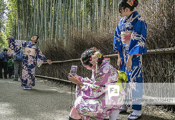 Junge Frauen in traditioneller Kleidung im Sagano Forest Grove in Kyoto  die sich gegenseitig auf dem Weg fotografieren. Der Hain ist eine der meistfotografierten Sehenswürdigkeiten der Stadt. Er befindet sich nordwestlich von Kyoto in Japan in der Nähe des Tenryu-ji-Tempels im Bezirk Arashiyama. Arashiyama ist seit den Tagen des klassischen Japans ein beliebter Standort für kaiserliche und adlige Villen und Tempel. In der Neuzeit wurden viele Bambushaine in Arashiyama aufgegeben oder in Wohngebiete umgewandelt. Die Regierung ergriff jedoch 1967 Maßnahmen zum Schutz der verbliebenen Bambushaine; Kyoto  Japan