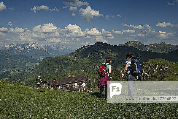Hikers heading to the HornKopflhutte mountain hut. Kitzbuehel  Tyrol  Austria.