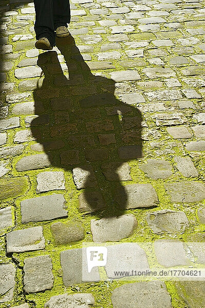 Schatten eines Fußgängers auf dem moosbewachsenen Gehweg  Bezirk Marais; Paris  Frankreich