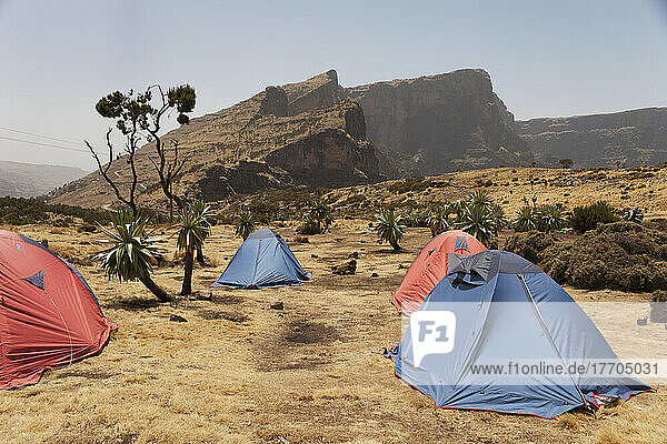 Trekking-Campingplatz  Chennak  Simien Mountains National Park; Amhara Region  Äthiopien