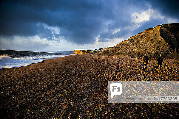 Ein Ehepaar  das mit seinen Hunden an der zerklüfteten Küste von Dorset am Chesil Beach spazieren geht; Dorset  England