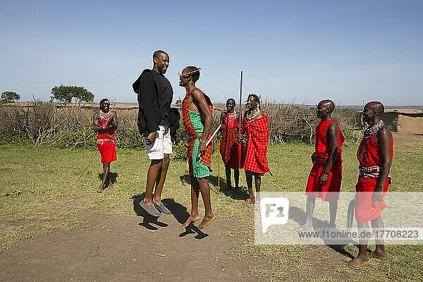 Maasai dancers in the Maasai Mara National Reserve  Kenya  Africa; Narok  Narok County  Kenya