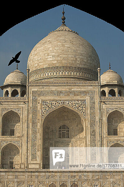 Silhouette einer Taube  die in die Türöffnung vor dem Taj Mahal fliegt; Agra  Indien