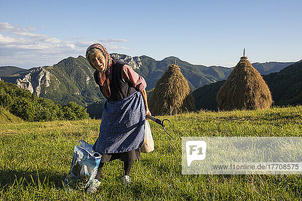 Traditionally dressed elderly woman in a meadow with haystacks set in the mountains around Turcului Gorges area; Alba County  Transylvania  Romania