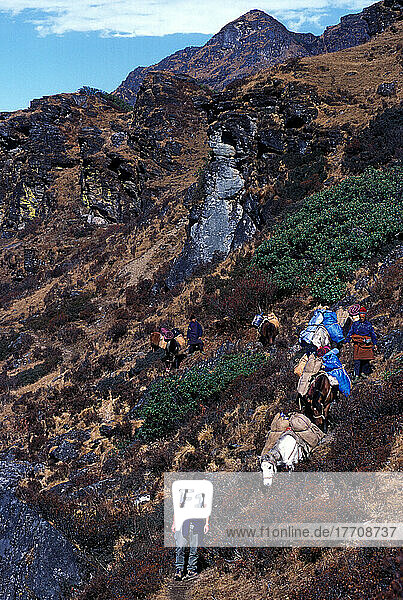 Trekkers Lead The Way Between Paro And Thimpu On An Old Trekking Trail Photo: Jill Mead/Axiom/Nov 2003