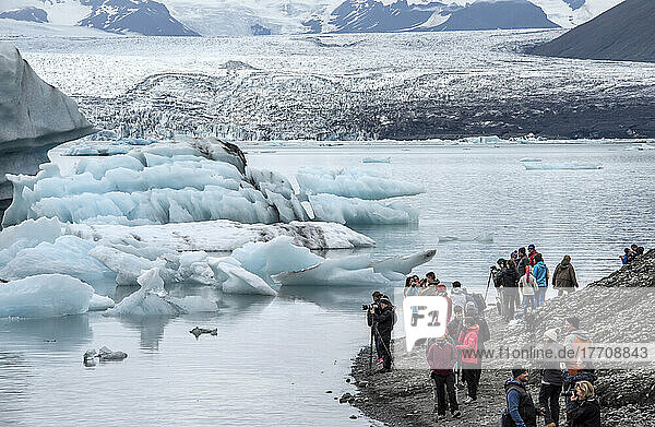 Tourists at the Glacier River Lagoon  where calved icebergs from the Vatnajokull glacier fall into the lagoon and stay until they are small enough to pass through to the sea. Vatnajokull is the largest glacier in Iceland on the Skalafellsjokull finger of the glacier  Vatnajokull National Park; Iceland