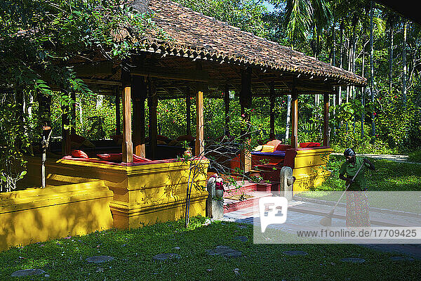 Colourful Seating Under A Shelter Surrounded By Palm Trees; Ulpotha  Embogama  Sri Lanka