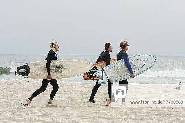 Surfer  die am Strand spazieren gehen und ihre Surfbretter tragen; Kalifornien  Vereinigte Staaten von Amerika