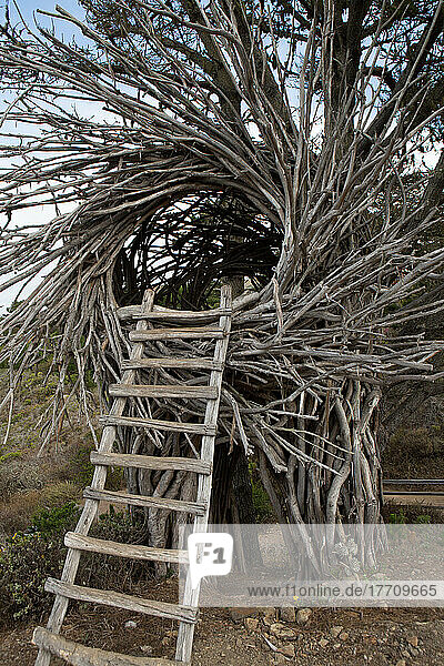 Im Treebones Resort hat ein Künstler ein menschengroßes Nest geschaffen  in dem Reisende schlafen können; Treebones Resort  Big Sur  Kalifornien
