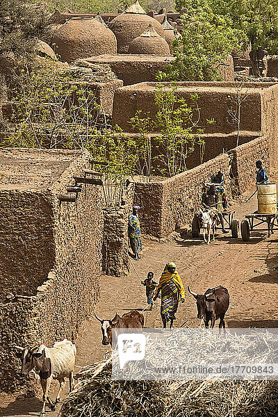 Niger  Region Tahoa  vom Dach der weltberühmten Freitagsmoschee  die 1962-1982 vom Baumeister El Hadji Falke Barmou erbaut wurde; Dorf Yaama  Luftaufnahme des Dorfes Yaama