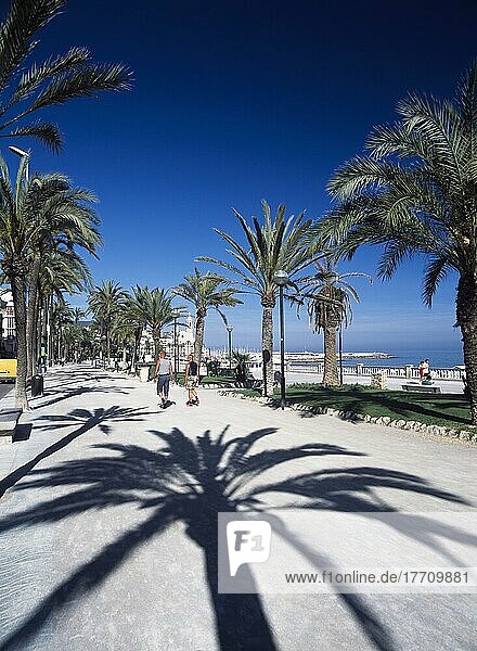 Fußgänger auf einer von Palmen gesäumten Promenade am Meer mit einem großen Schatten einer Palme auf dem Weg