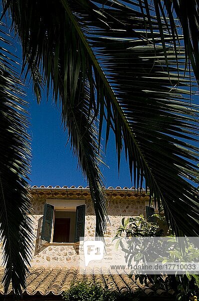Villa With Open Window Shutters Through Palm Leaves